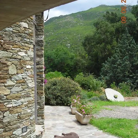 Guest house U Castellu Piattu Bastia (Corsica)